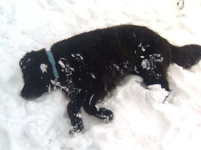 Bild167.jpg