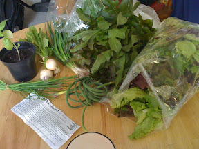 csa09_week1-3