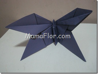 Mariposa de Papel! Mariposa de Papel!
