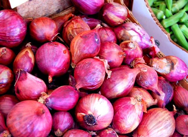 [red onions[4].jpg]