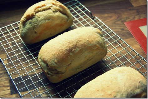 little bread loaves