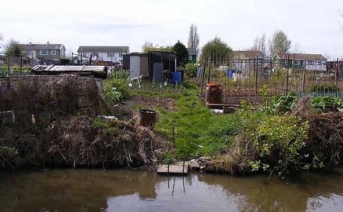 [allotments from canal[4].jpg]