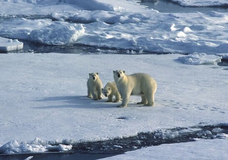 [understanding-climate-change[3].jpg]