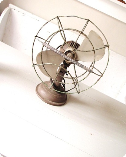 fan