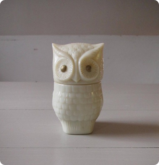 owl