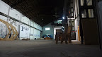 P1020002.JPG