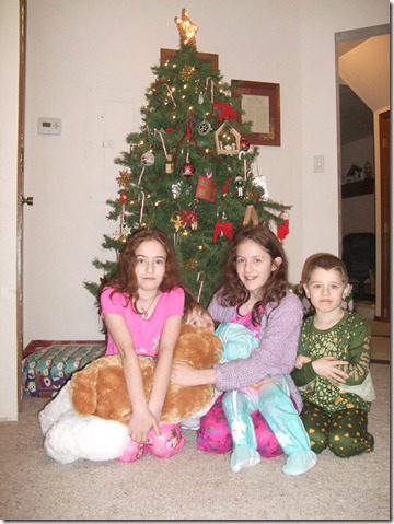 Christmas 2010, January 2011 005