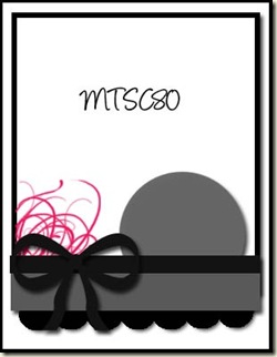 MTSC80[2]