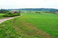 P1060893.JPG Photo