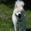 DSC_0073.JPG
