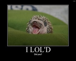 17-I-lol