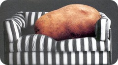 couch potato
