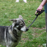 IMG_7572.JPG