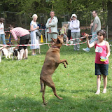 IMG_7506.JPG