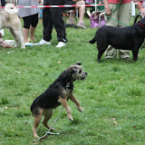 IMG_7541.JPG