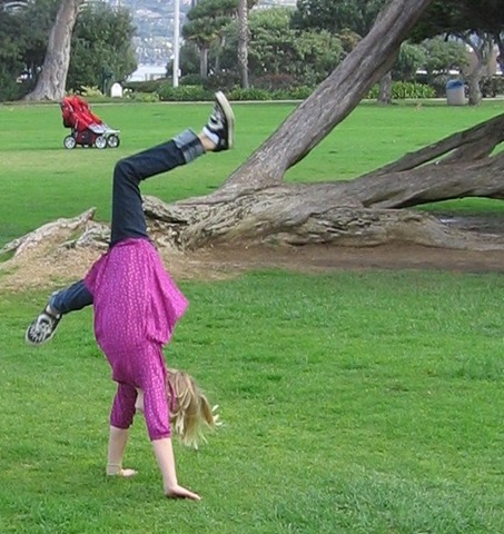 [cartwheels anywhere[4].jpg]