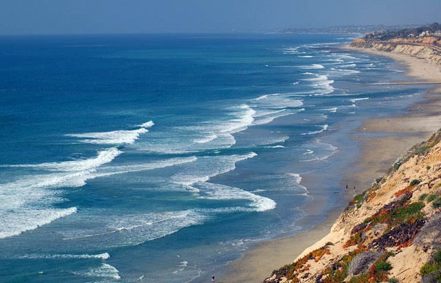 [torrey[7].jpg]