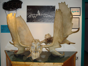 DSC00333.JPG