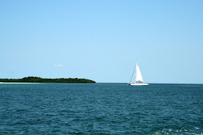 IMG_1323.JPG