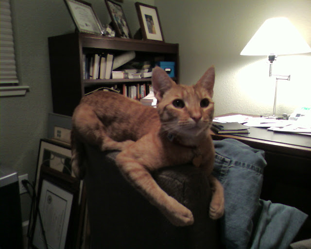 Corky%20Stare.jpg