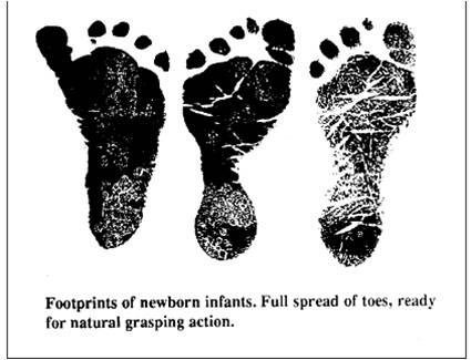 [infant feet[3].jpg]