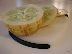 DSC02461.JPG