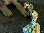 DSC02604.JPG