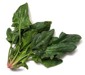 25 Foods Women Should Eat to Defy Aging Process anti aging food, spinach