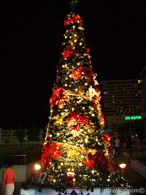 christmas, christmas tree