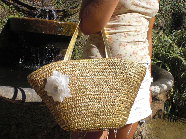 bolso