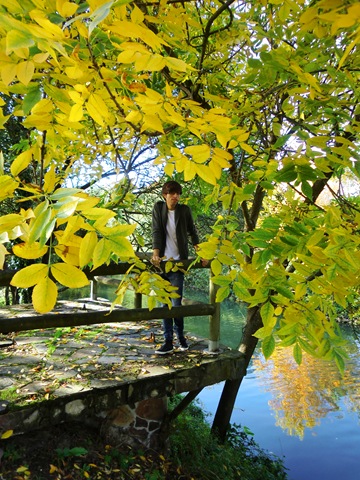 [Lagares otoño 016[2].jpg]