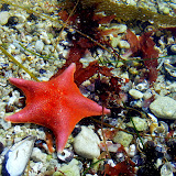 2007-11-03 monterey