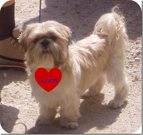my love