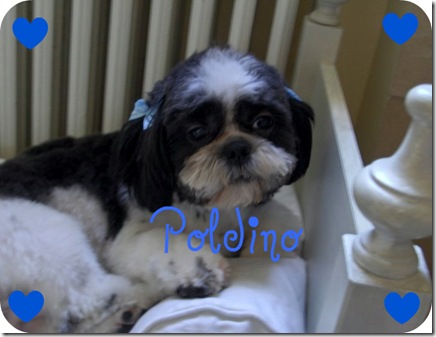 poldino