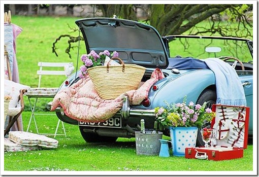 picnic3