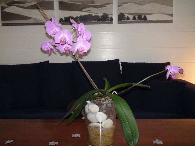 [DSC000608.jpg]
