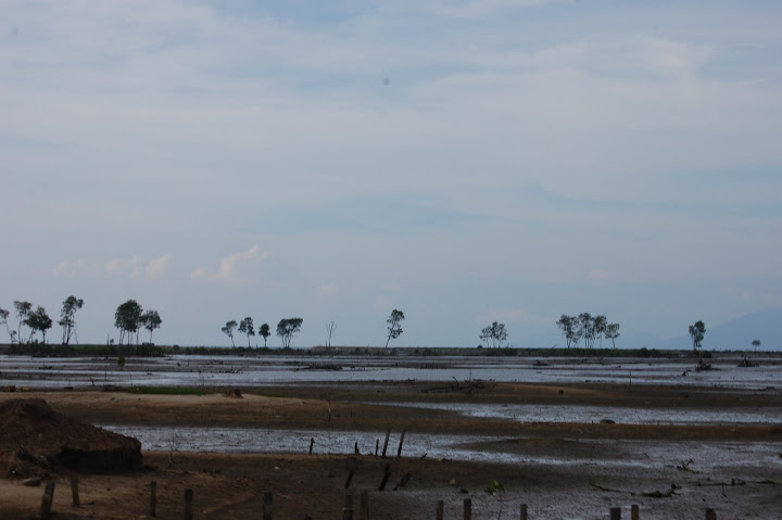 Pasca Tsunami