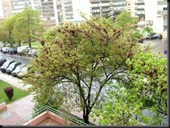 Abril