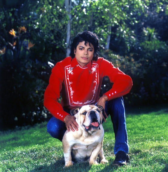 Michael with animals <3 [MERGED] | Page 3 | MJJCommunity | Michael Jackson  Community