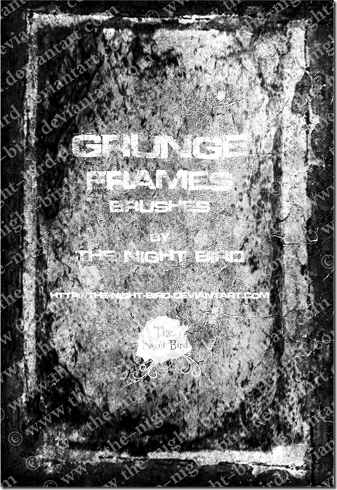 grunge_frames_brushes____by_the_night_bird-d37v00i grunge_frames_brushes____by_the_night_bird-d37v00i