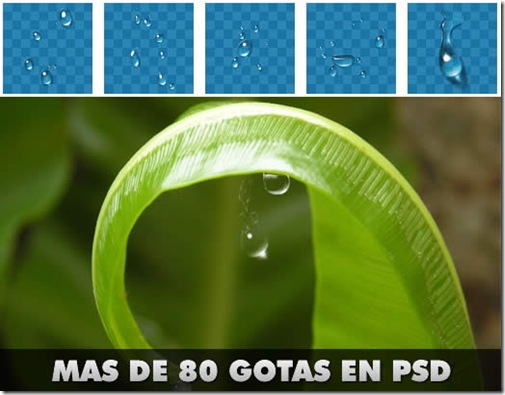 gotas gotas