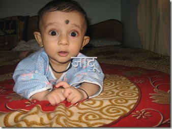 IMG_3515 IMG_3515