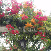 PB130033.JPG