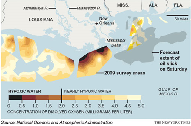 Gulf of Mexico Dead Zone, 2009. NOAA / The New York Times