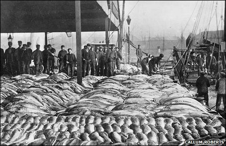 Landings into UK ports in the 19th Century were four times higher than today. Over-fishing means UK trawlers have to work 17 times as hard for the same fish catch as 120 years ago, a study shows. Callum Roberts
