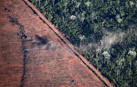 Land being cleared next to the forest in Par&aacute;. Rodrigo Baleia / Greenpeace via globoamazonia.com