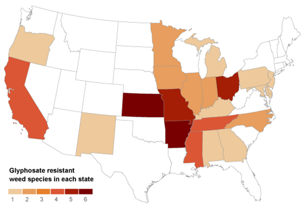 Where weedkiller won&rsquo;t work: Farmers&rsquo; wide use of Roundup, also known as glyphosate, a popular herbicide, has led to the spread of Roundup-resistant weeds across the country. At least 10 species of Roundup-resistant weeds have infested millions of acres in 22 states since 2000. Source: International Survey of Herbicide Resistant Weeds. The New York Times