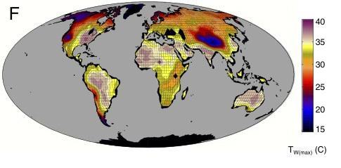 This map shows the maximum wet-bulb temperatures reached in a climate model from a high carbon dioxide emissions future climate scenario with a global-mean temperature 12 degrees Celsius (21 degrees Fahrenheit) warmer than 2007. The white land areas exceed the wet-bulb limit at which researchers calculated humans would experience a potentially lethal level of heat stress. (Credit: Purdue University graphic / Matthew Huber)