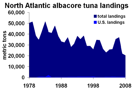 North Atlantic albacore tuna landings, 1978-2008. ICCAT