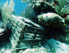 Abandoned trap caught in coral reefs: just one of the many issues Biscayne National Park managers face every day. Richard Curry
